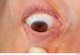 HD Eyes Judy Tranz eye eye texture eyelash iris pupil…